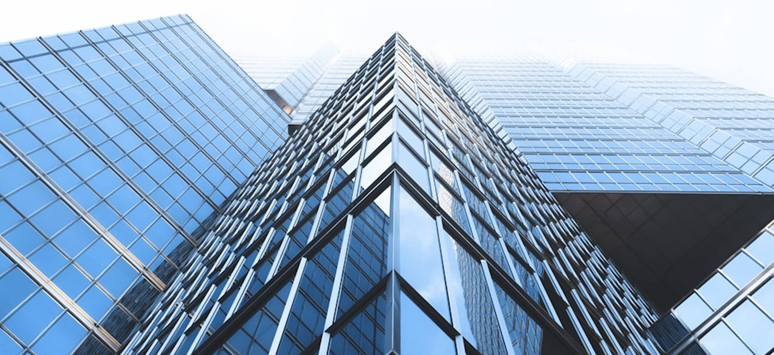 Lorem ipsum dolor sit amet consectetur.