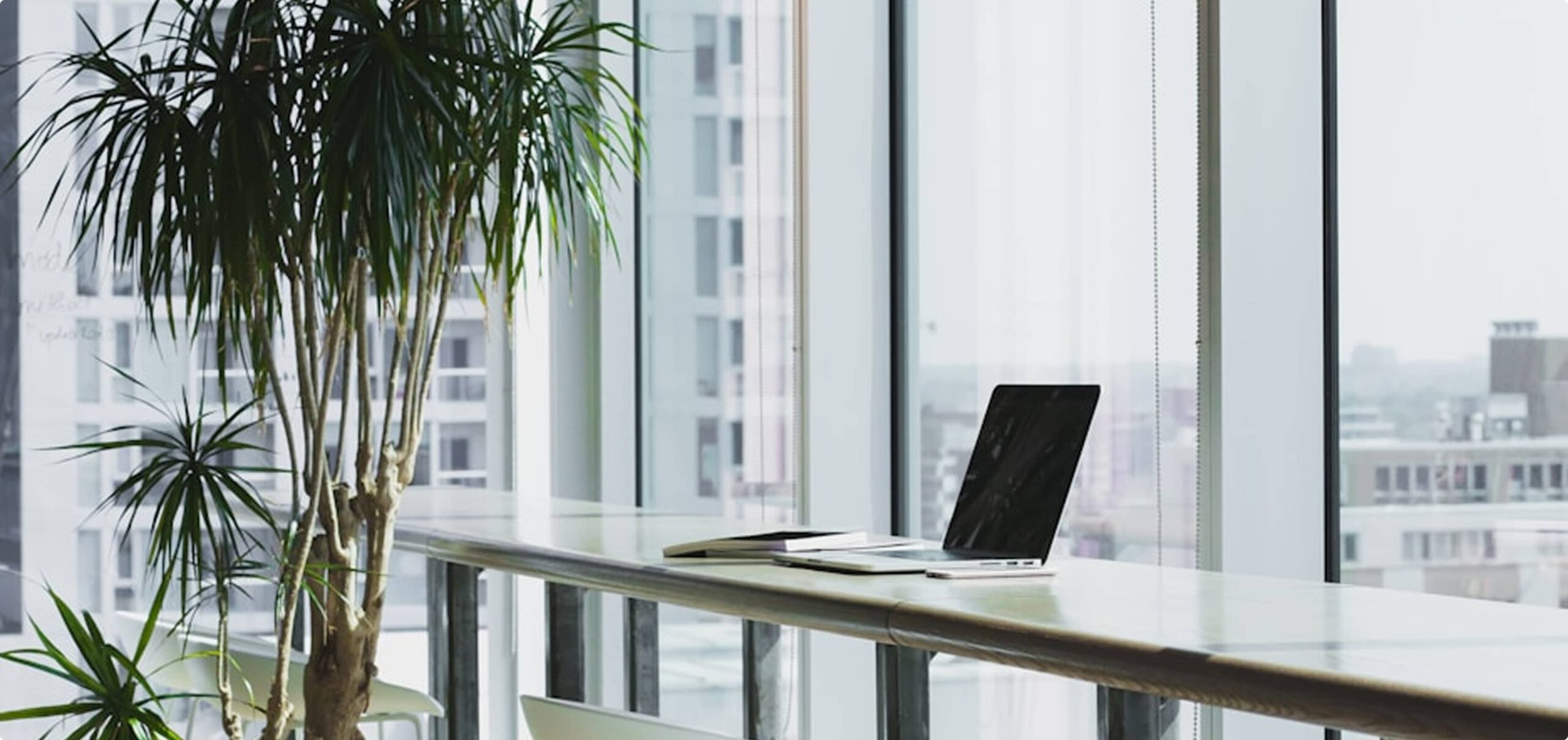 Lorem ipsum dolor sit amet consectetur.