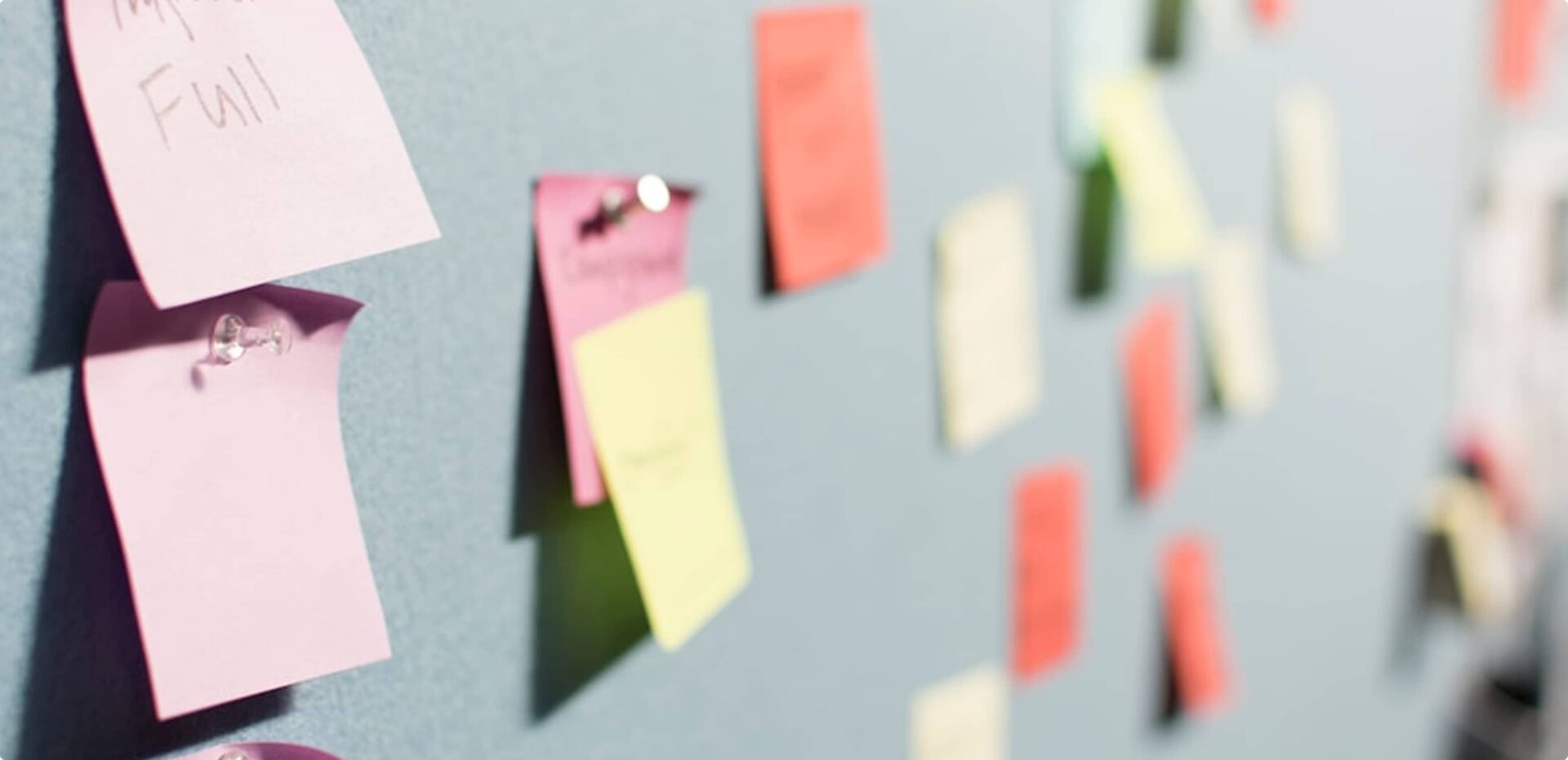 Lorem ipsum dolor sit amet consectetur.